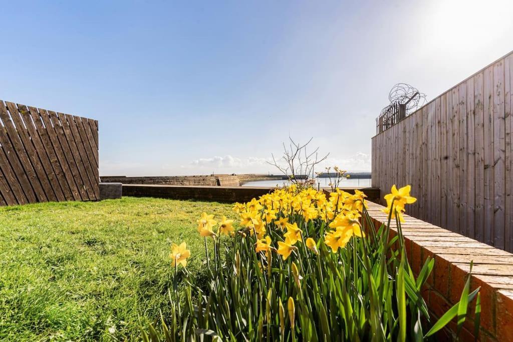 Stunning Ground Floor Hartlepool Marina Apartment Extérieur photo